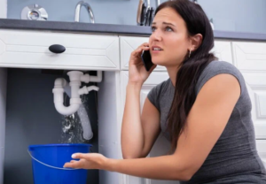 Professional Plumbing Services